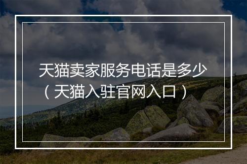 天猫卖家服务电话是多少（天猫入驻官网入口）