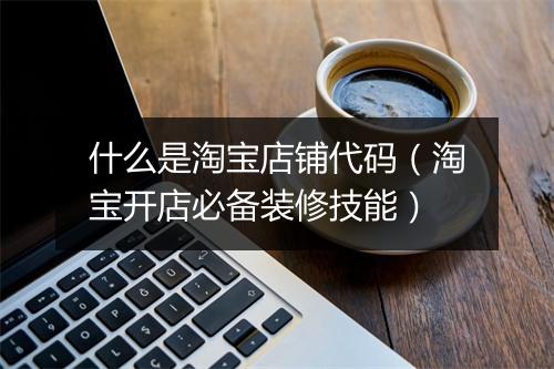 什么是淘宝店铺代码（淘宝开店必备装修技能）