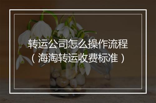 转运公司怎么操作流程（海淘转运收费标准）