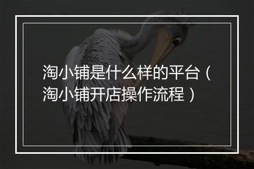 淘小铺是什么样的平台（淘小铺开店操作流程）
