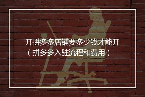 开拼多多店铺要多少钱才能开（拼多多入驻流程和费用）