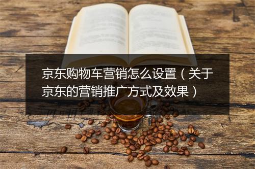 京东购物车营销怎么设置（关于京东的营销推广方式及效果）