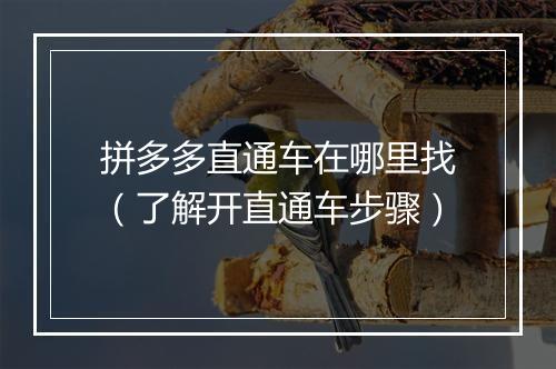 拼多多直通车在哪里找（了解开直通车步骤）