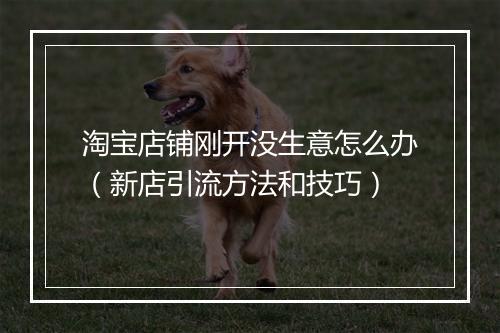 淘宝店铺刚开没生意怎么办（新店引流方法和技巧）