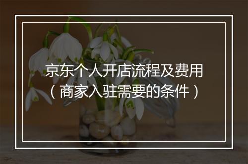 京东个人开店流程及费用（商家入驻需要的条件）
