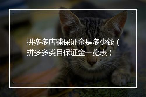 拼多多店铺保证金是多少钱（拼多多类目保证金一览表）