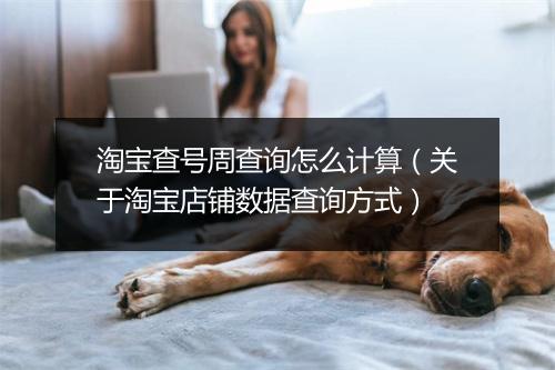 淘宝查号周查询怎么计算（关于淘宝店铺数据查询方式）