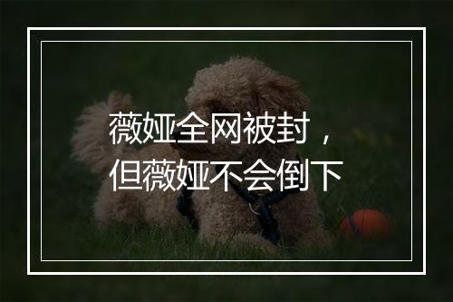 薇娅全网被封，但薇娅不会倒下