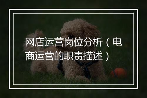 网店运营岗位分析（电商运营的职责描述）