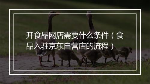 开食品网店需要什么条件（食品入驻京东自营店的流程）