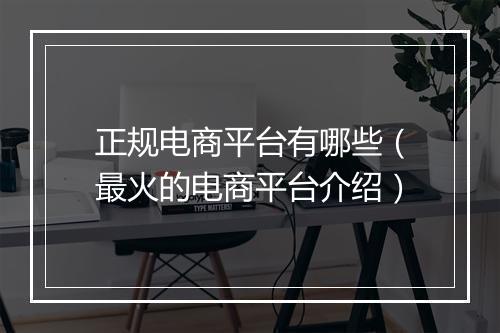 正规电商平台有哪些（最火的电商平台介绍）