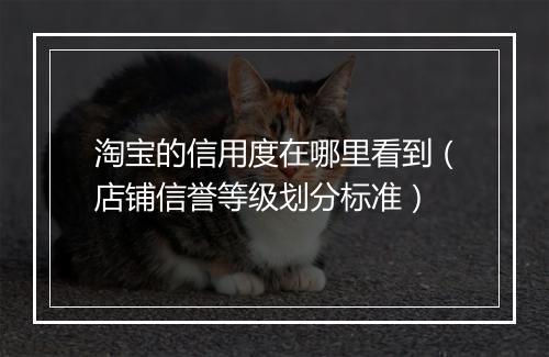 淘宝的信用度在哪里看到（店铺信誉等级划分标准）