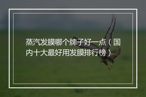 蒸汽发膜哪个牌子好一点（国内十大最好用发膜排行榜）