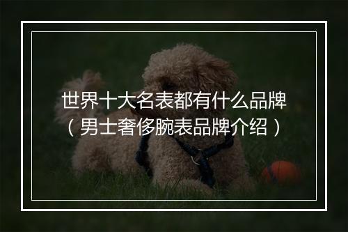 世界十大名表都有什么品牌（男士奢侈腕表品牌介绍）
