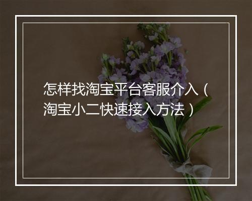 怎样找淘宝平台客服介入（淘宝小二快速接入方法）