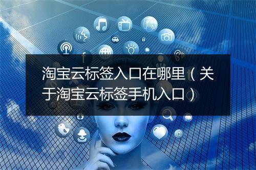 淘宝云标签入口在哪里（关于淘宝云标签手机入口）