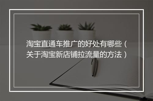 淘宝直通车推广的好处有哪些（关于淘宝新店铺拉流量的方法）