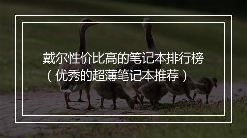 戴尔性价比高的笔记本排行榜（优秀的超薄笔记本推荐）