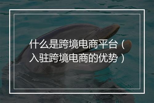 什么是跨境电商平台（入驻跨境电商的优势）