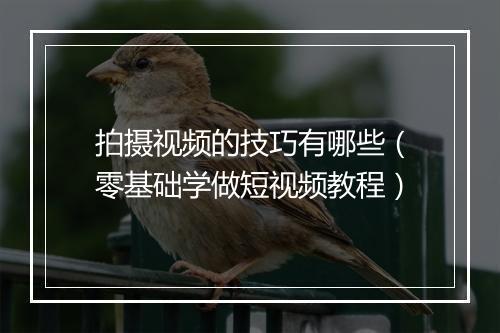 拍摄视频的技巧有哪些（零基础学做短视频教程）