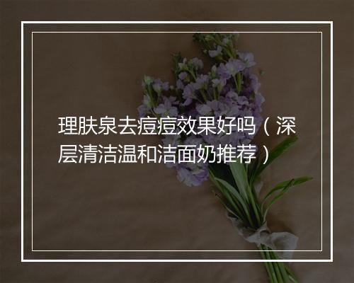 理肤泉去痘痘效果好吗（深层清洁温和洁面奶推荐）
