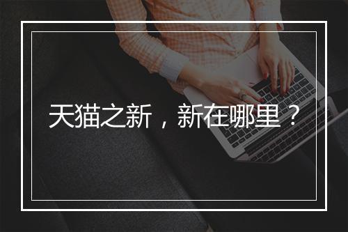 天猫之新，新在哪里？