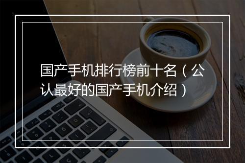 国产手机排行榜前十名（公认最好的国产手机介绍）