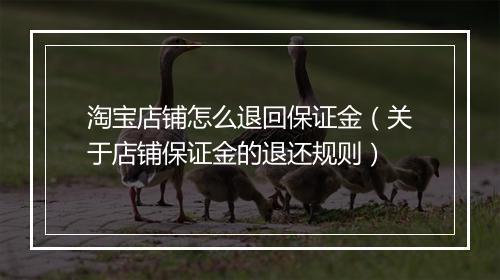淘宝店铺怎么退回保证金（关于店铺保证金的退还规则）