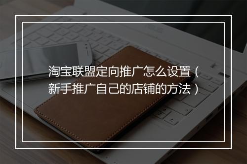 淘宝联盟定向推广怎么设置（新手推广自己的店铺的方法）