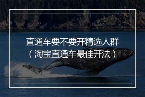 直通车要不要开精选人群（淘宝直通车最佳开法）