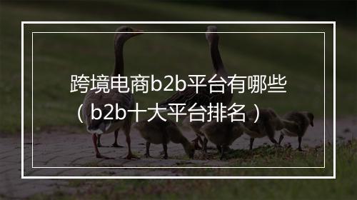 跨境电商b2b平台有哪些（b2b十大平台排名）