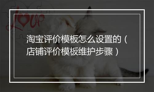 淘宝评价模板怎么设置的（店铺评价模板维护步骤）