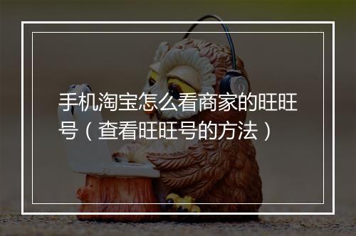 手机淘宝怎么看商家的旺旺号（查看旺旺号的方法）