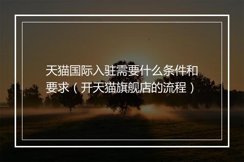 天猫国际入驻需要什么条件和要求（开天猫旗舰店的流程）