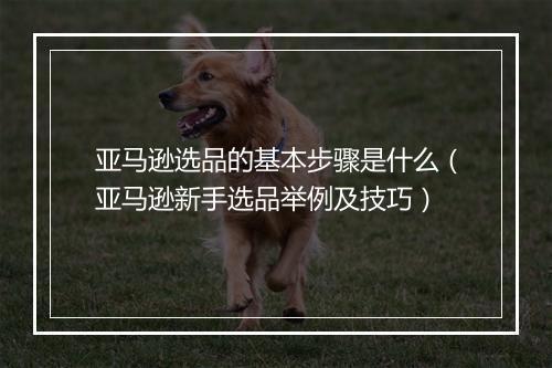 亚马逊选品的基本步骤是什么（亚马逊新手选品举例及技巧）