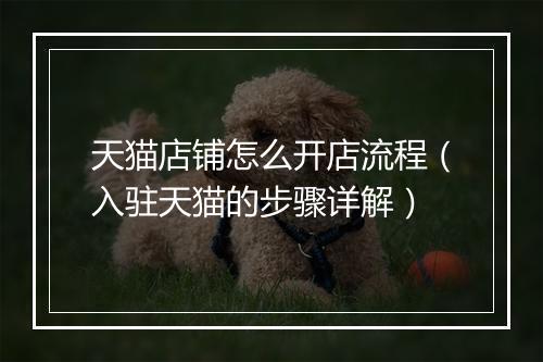 天猫店铺怎么开店流程（入驻天猫的步骤详解）