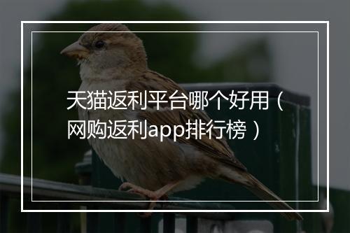 天猫返利平台哪个好用（网购返利app排行榜）