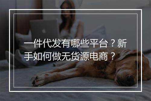 一件代发有哪些平台？新手如何做无货源电商？