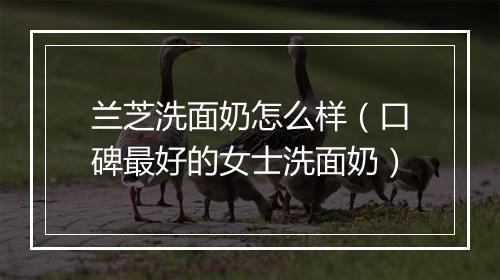 兰芝洗面奶怎么样（口碑最好的女士洗面奶）