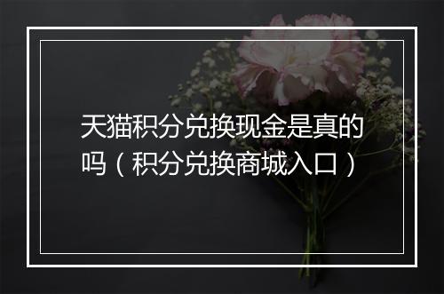 天猫积分兑换现金是真的吗（积分兑换商城入口）