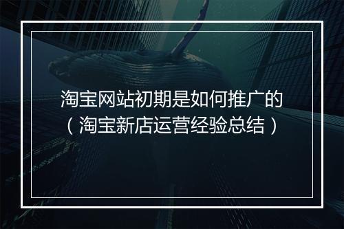 淘宝网站初期是如何推广的（淘宝新店运营经验总结）