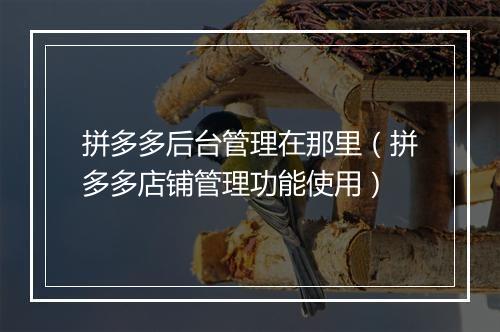 拼多多后台管理在那里（拼多多店铺管理功能使用）