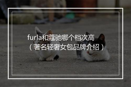 furla和蔻驰哪个档次高（著名轻奢女包品牌介绍）