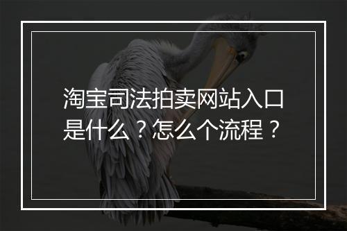 淘宝司法拍卖网站入口是什么？怎么个流程？