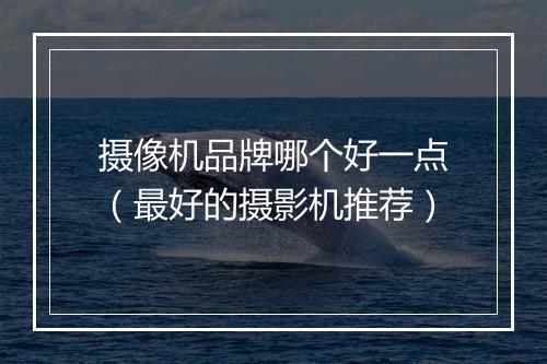 摄像机品牌哪个好一点（最好的摄影机推荐）