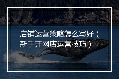 店铺运营策略怎么写好（新手开网店运营技巧）