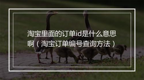 淘宝里面的订单id是什么意思啊（淘宝订单编号查询方法）