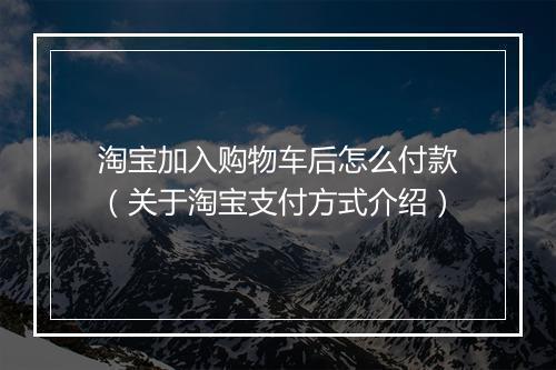 淘宝加入购物车后怎么付款（关于淘宝支付方式介绍）