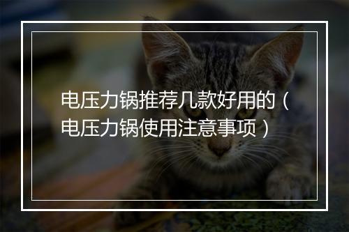 电压力锅推荐几款好用的（电压力锅使用注意事项）