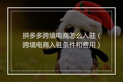 拼多多跨境电商怎么入驻（跨境电商入驻条件和费用）